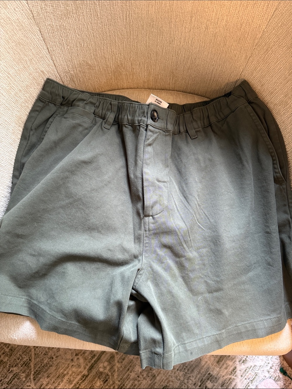 Cove Men's Olive Green Flat Front Shorts